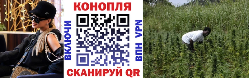 Канабис THC 21%  Славск 